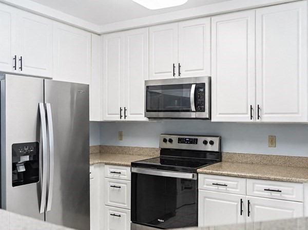 175 Cottage Street, Unit 515 Chelsea, MA 02150 - Photo 9 of 36 Gallery Image 9