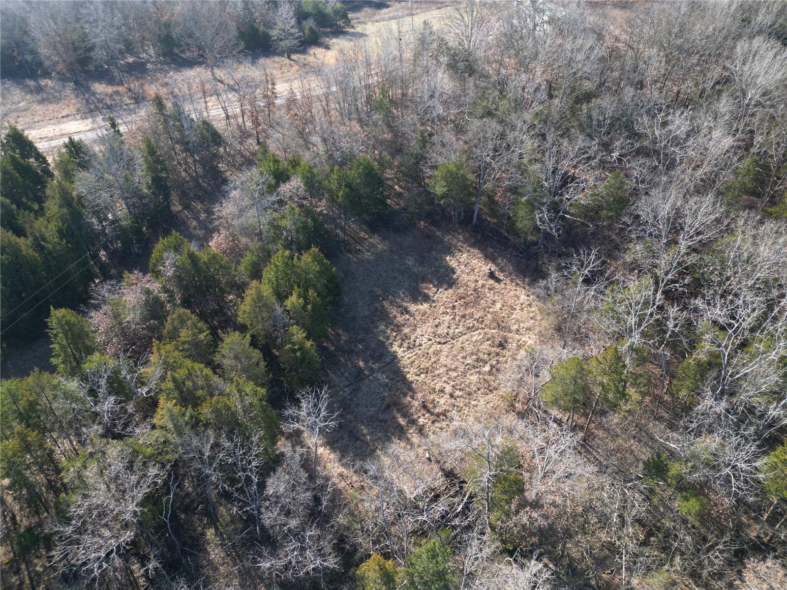 1197 Mulberry Road Conway, MO 65632 - Photo 17 of 26