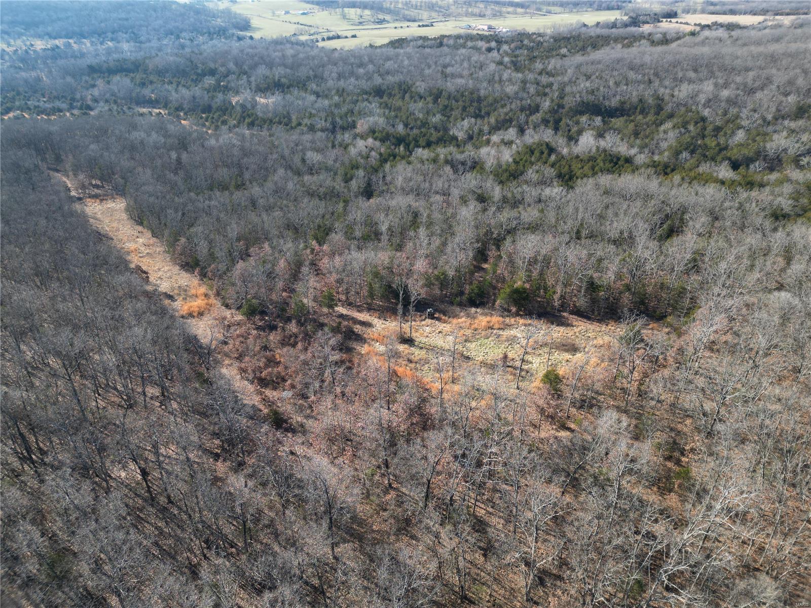 1197 Mulberry Road Conway, MO 65632 - Photo 19 of 26