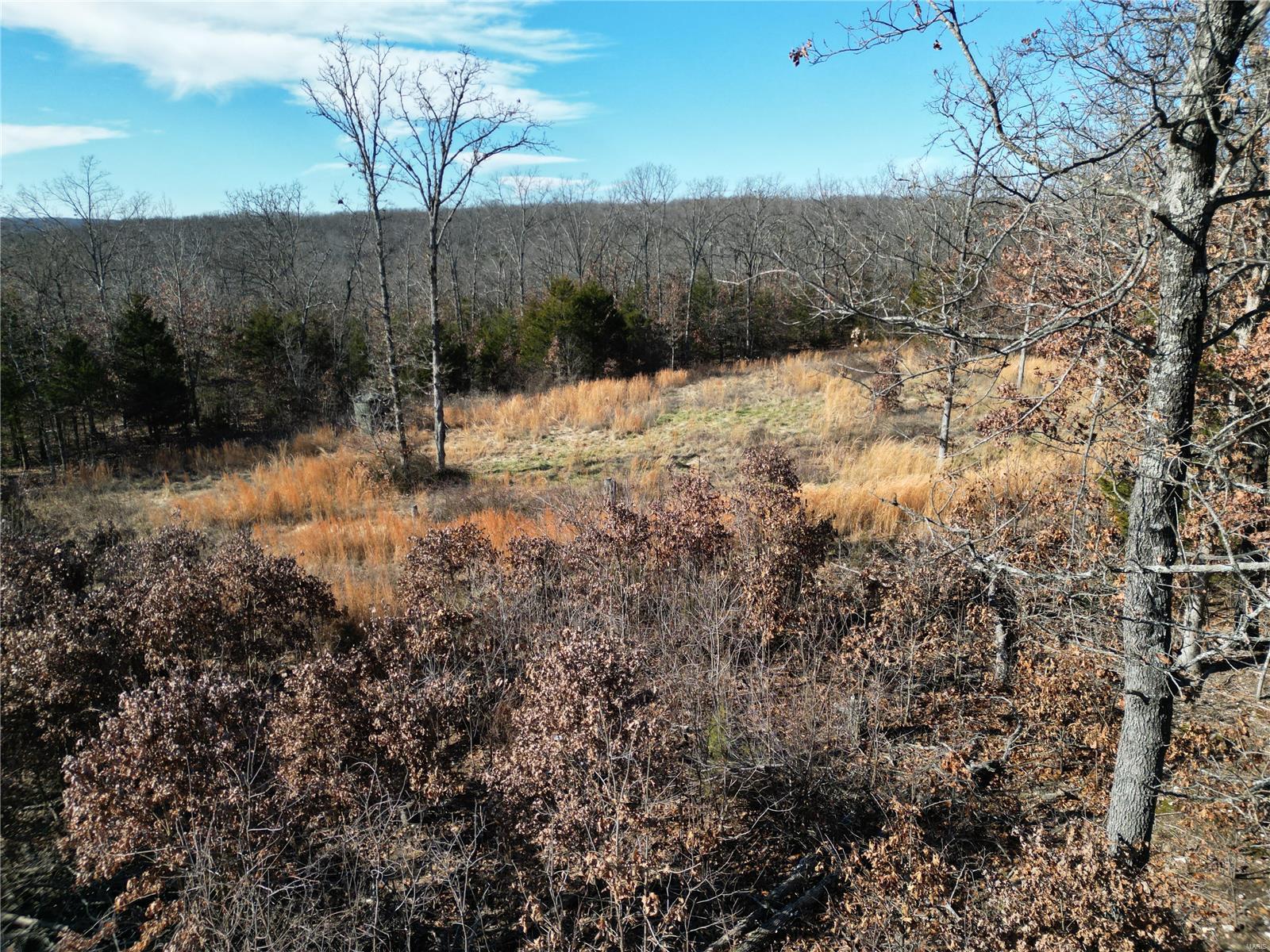 1197 Mulberry Road Conway, MO 65632 - Photo 2 of 26