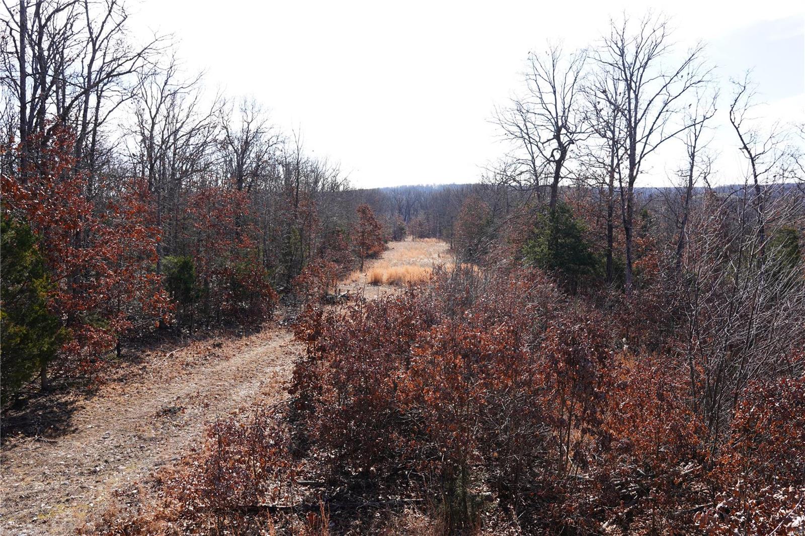 1197 Mulberry Road Conway, MO 65632 - Photo 21 of 26