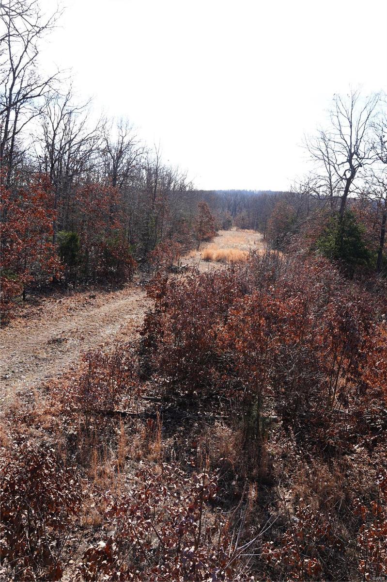 1197 Mulberry Road Conway, MO 65632 - Photo 22 of 26