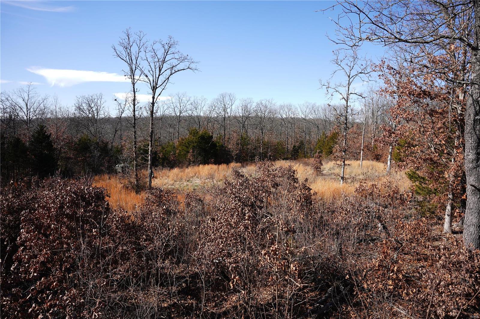 1197 Mulberry Road Conway, MO 65632 - Photo 23 of 26