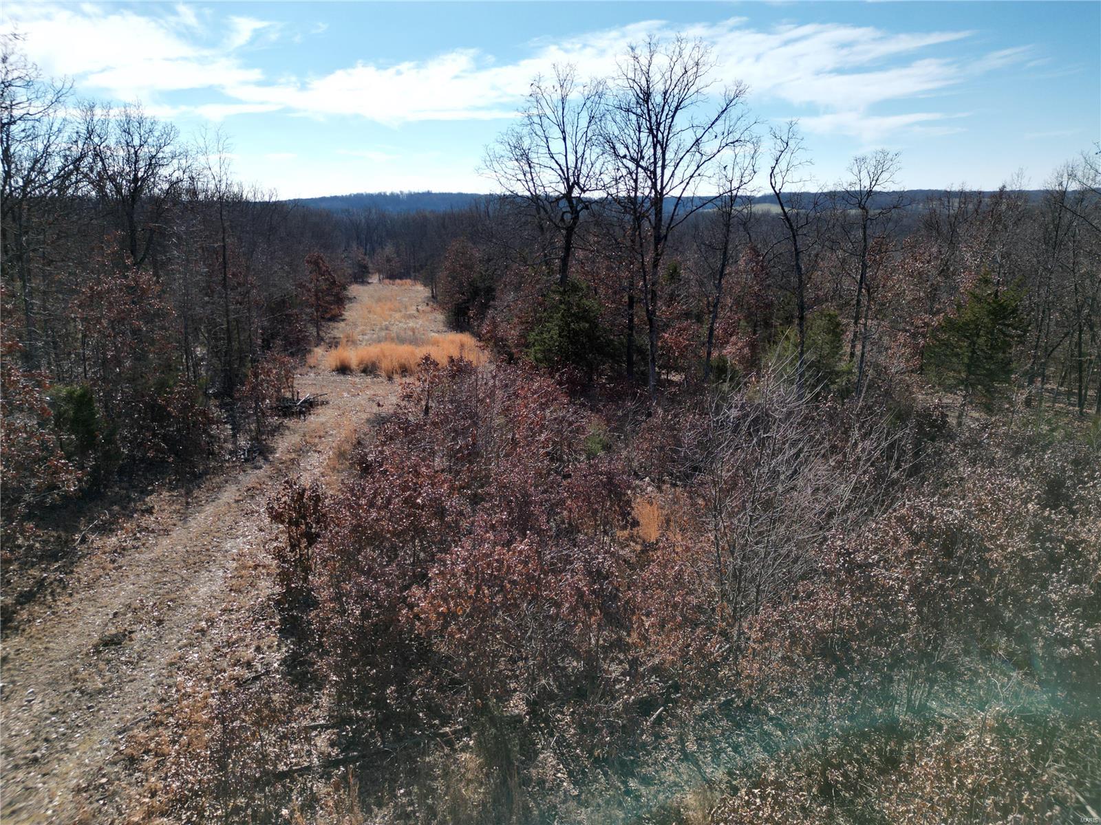 1197 Mulberry Road Conway, MO 65632 - Photo 3 of 26