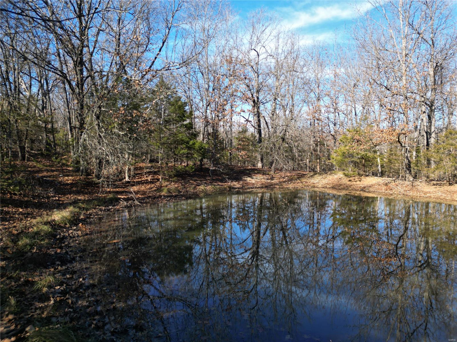 1197 Mulberry Road Conway, MO 65632 - Photo 4 of 26