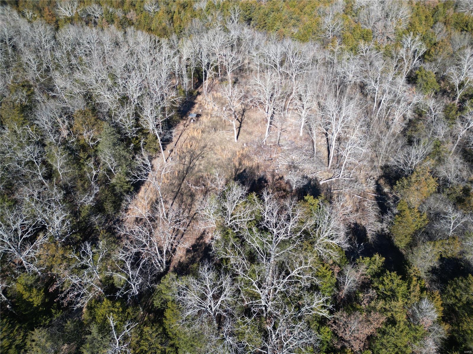 1197 Mulberry Road Conway, MO 65632 - Photo 6 of 26