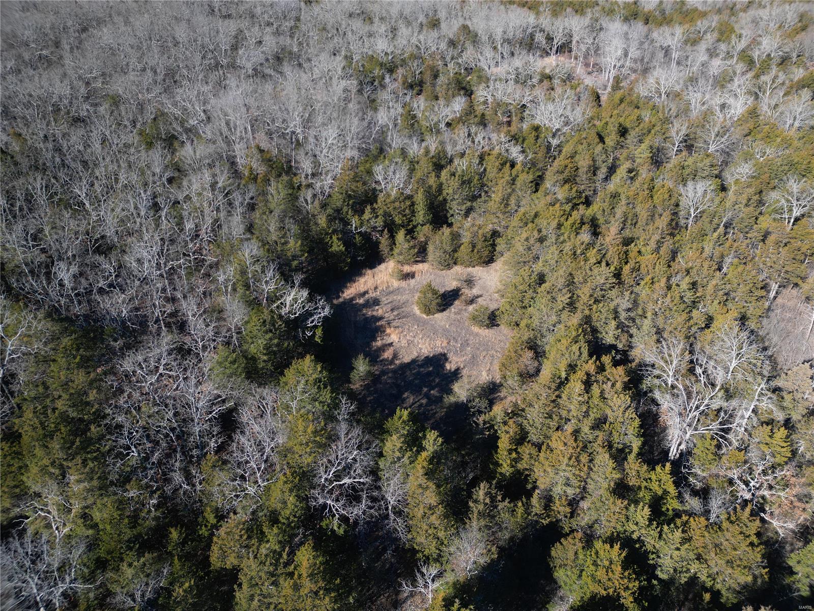 1197 Mulberry Road Conway, MO 65632 - Photo 7 of 26