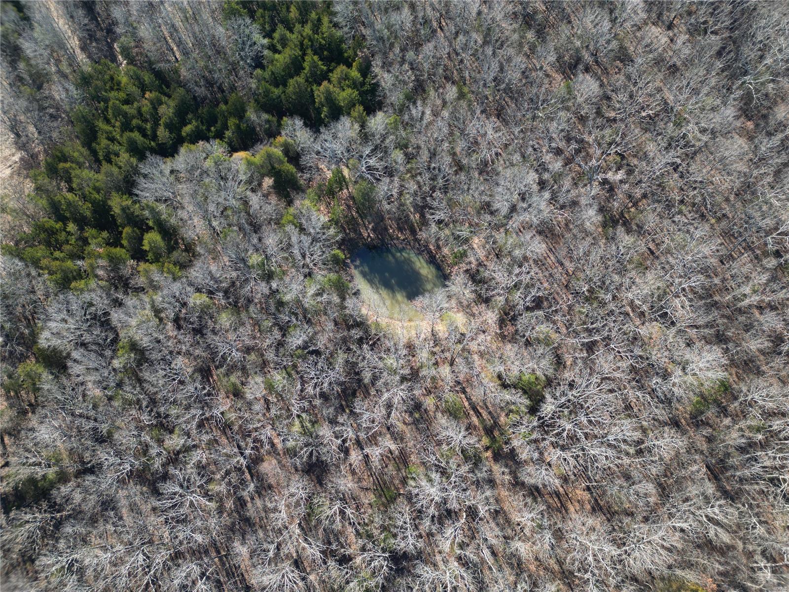 1197 Mulberry Road Conway, MO 65632 - Photo 9 of 26