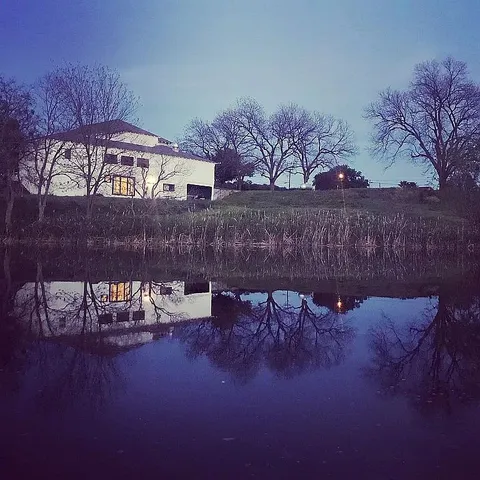 a view of a back yard