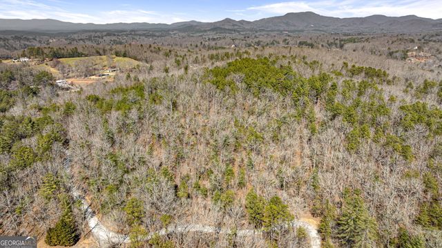 a view of mountain with trees in the background