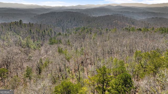 a view of mountain and trees