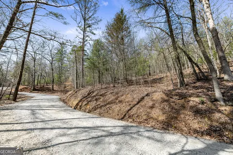 $269,000 | 3 Old Mill, Mineral Bluff, GA 30559