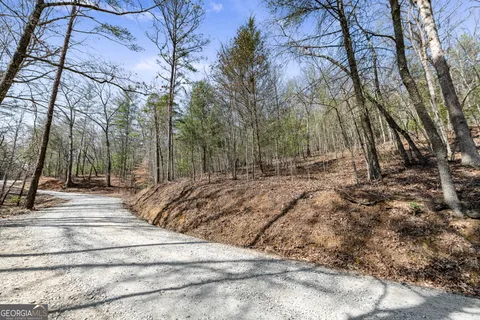 $269,000 | 3 Old Mill, Mineral Bluff, GA 30559