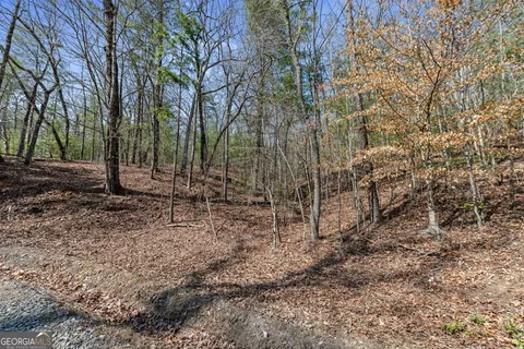 $269,000 | 3 Old Mill, Mineral Bluff, GA 30559