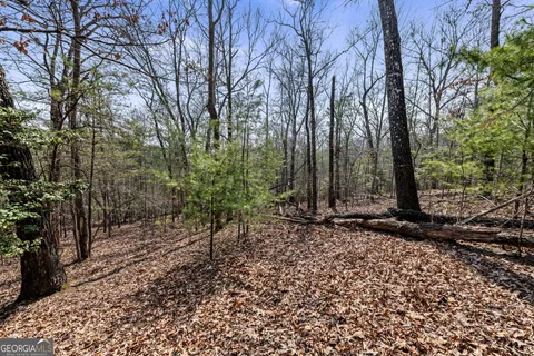 $269,000 | 3 Old Mill, Mineral Bluff, GA 30559