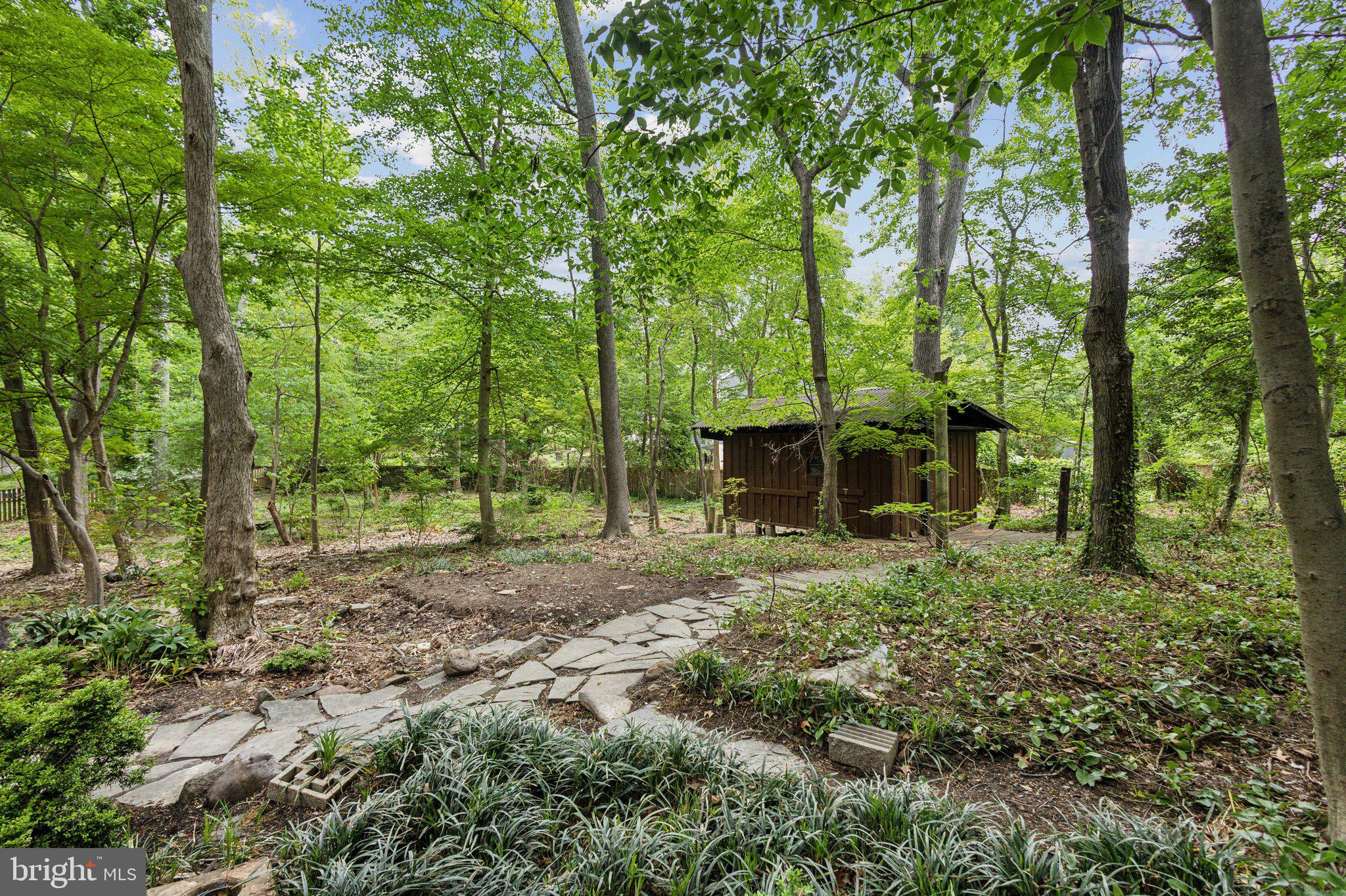 5936 River Drive Lorton, VA 22079 - Photo 17 of 19 a view of a forest that has large trees
