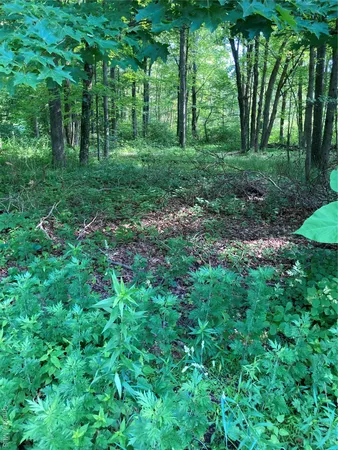 $295,000 | 15 Adam Wagner Lane, Mahopac, NY 10541