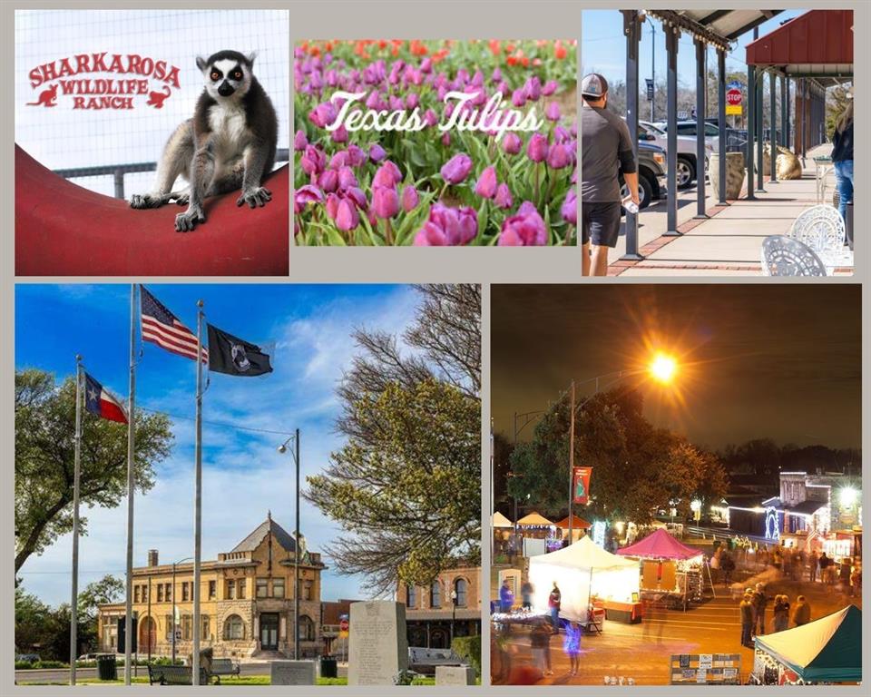 14033 Earlham Street Pilot Point, TX 76258 - Photo 17 of 39 WELCOME TO PILOT POINT