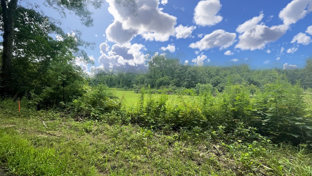 Lot 1 Bell Road North Brookfield, MA 01535 - Photo 8 of 11