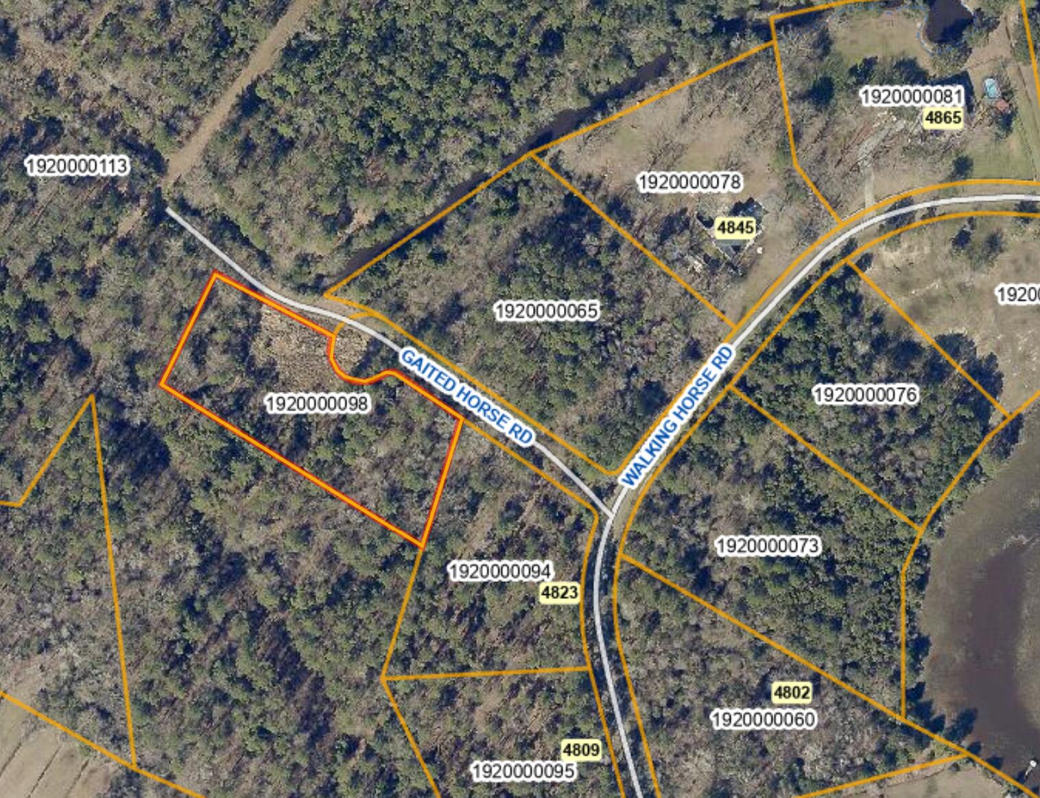 0 Gaited Horse Road Meggett, SC 29449 - Photo 2 of 7 0 Gaited Horse GIS
