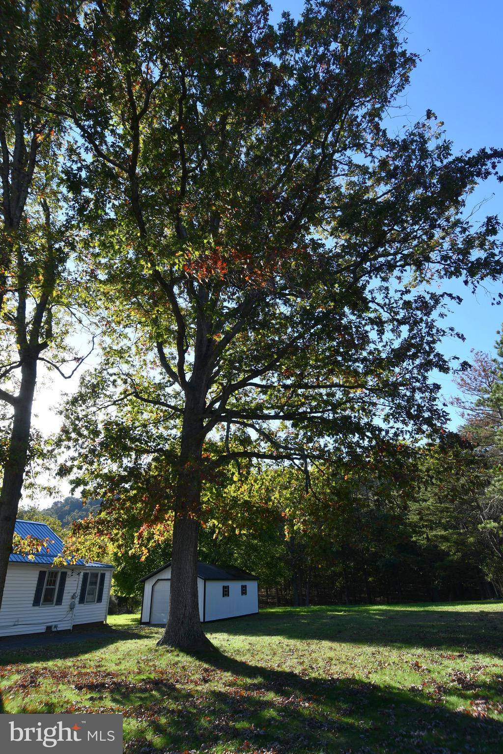 10976 Valley Road Berkeley Springs, WV 25411 - Photo 3 of 30
