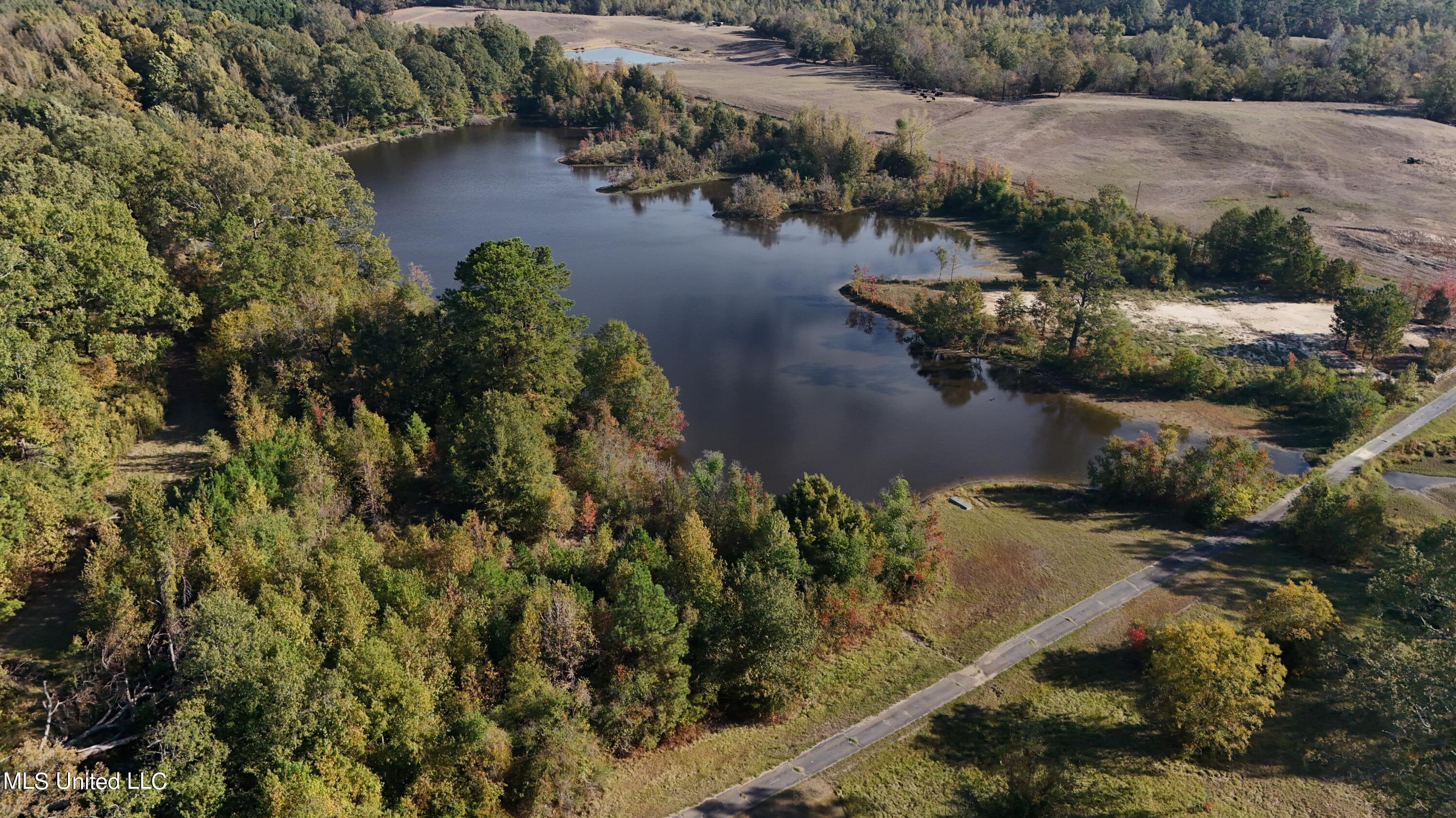 1203 Utica Bypass Road Utica, MS 39175 - Photo 54 of 58 DJI_20231024093454_0010_D