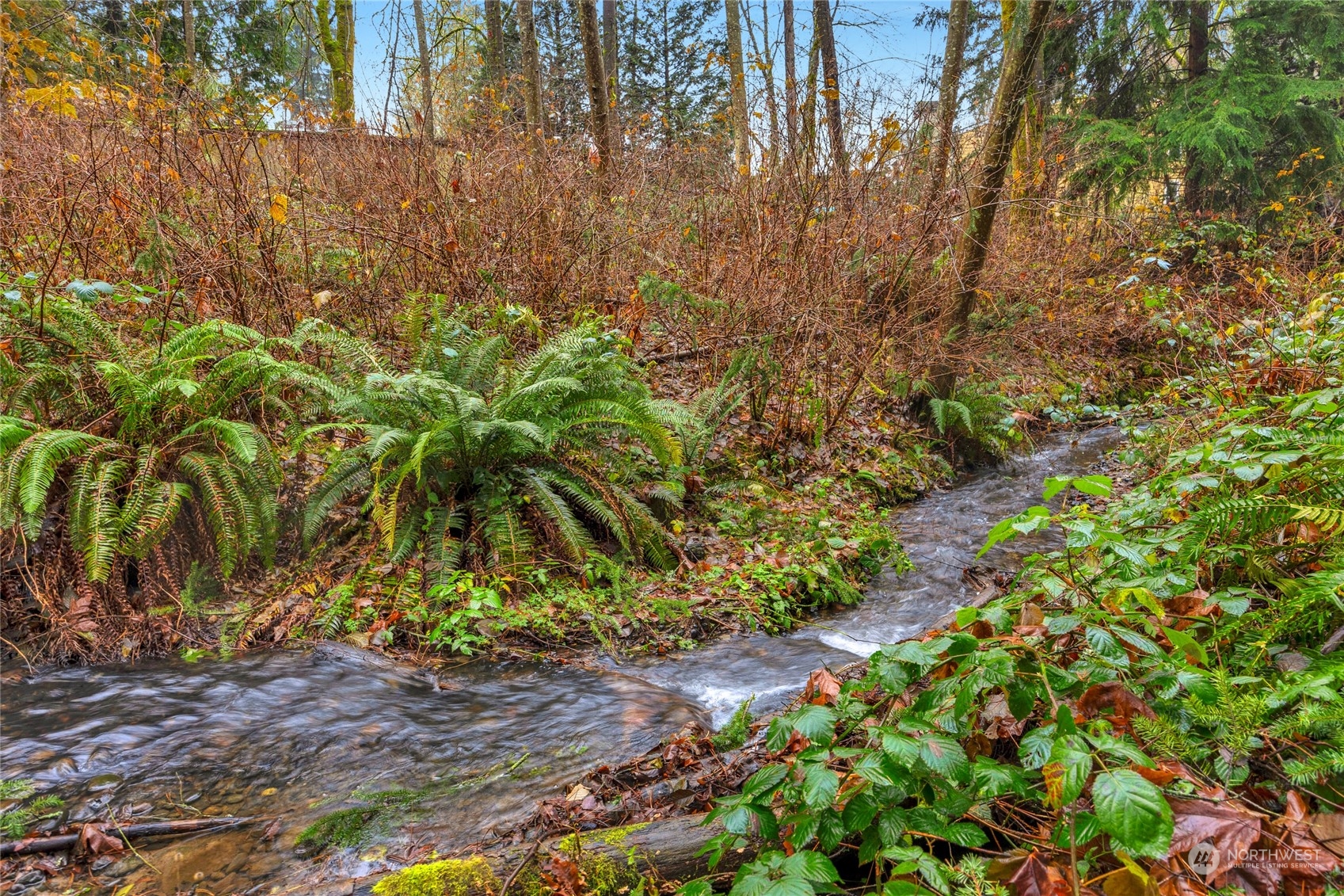 23006 19th Avenue Southeast Bothell, WA 98021 - Photo 35 of 40