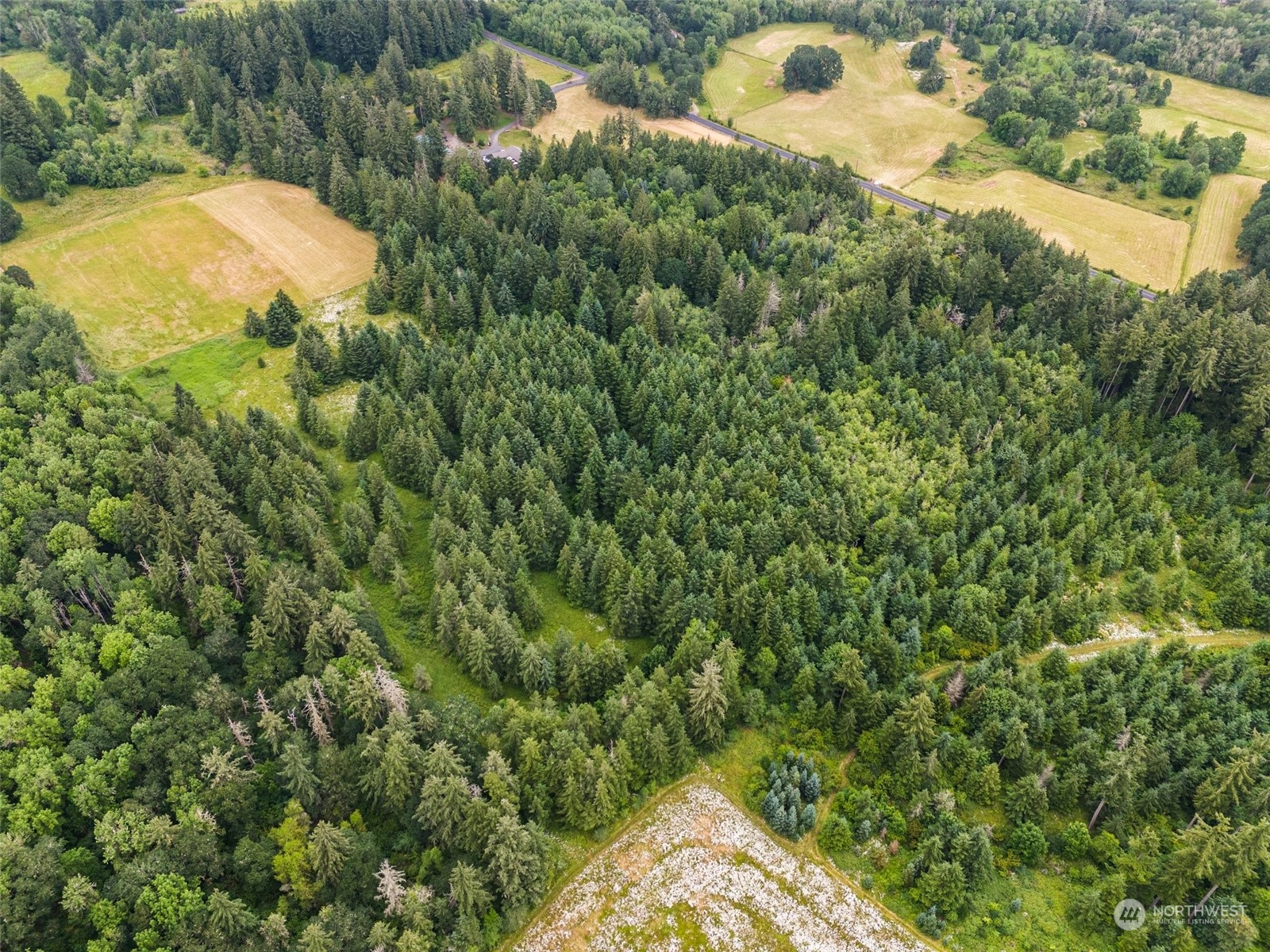 0 Howe Road Toledo, WA 98591 - Photo 12 of 16 a view of a yard and mountain