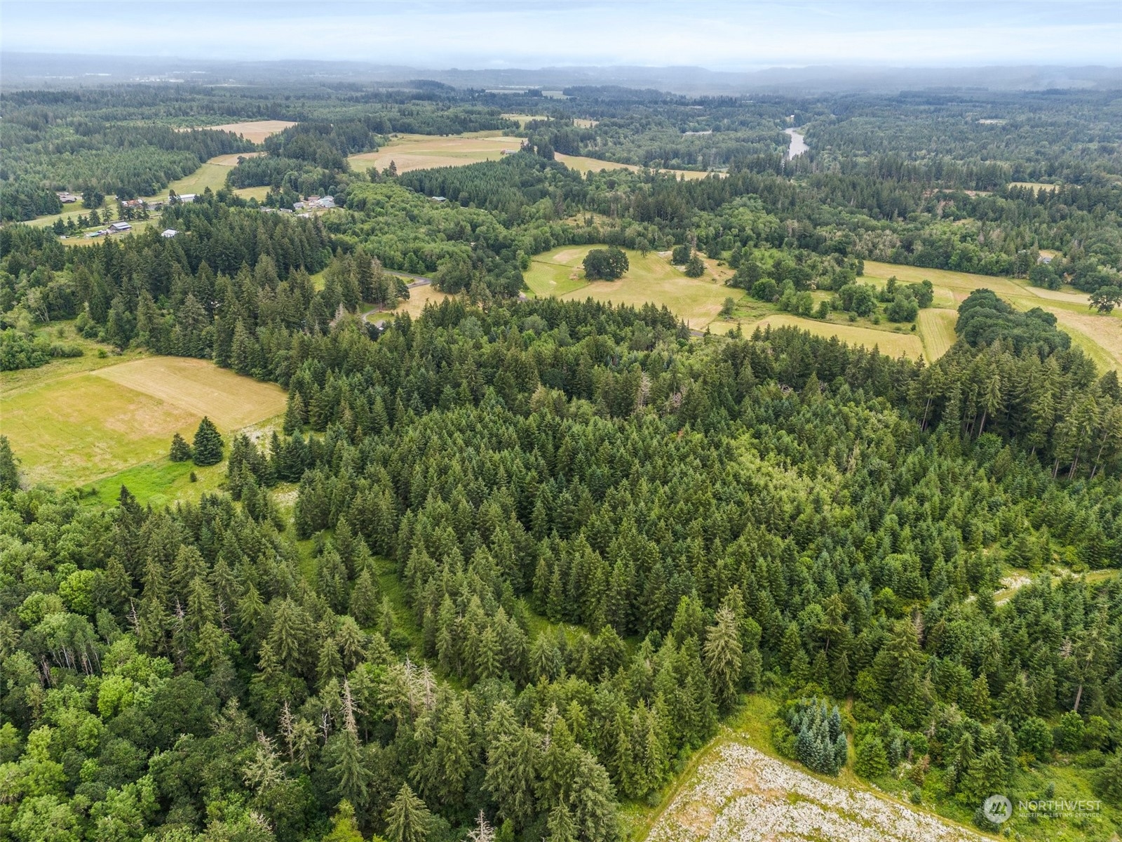 0 Howe Road Toledo, WA 98591 - Photo 13 of 16 an aerial view of residential houses with outdoor space and trees