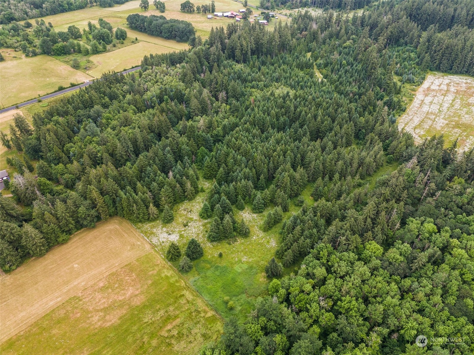 0 Howe Road Toledo, WA 98591 - Photo 14 of 16 a view of a yard