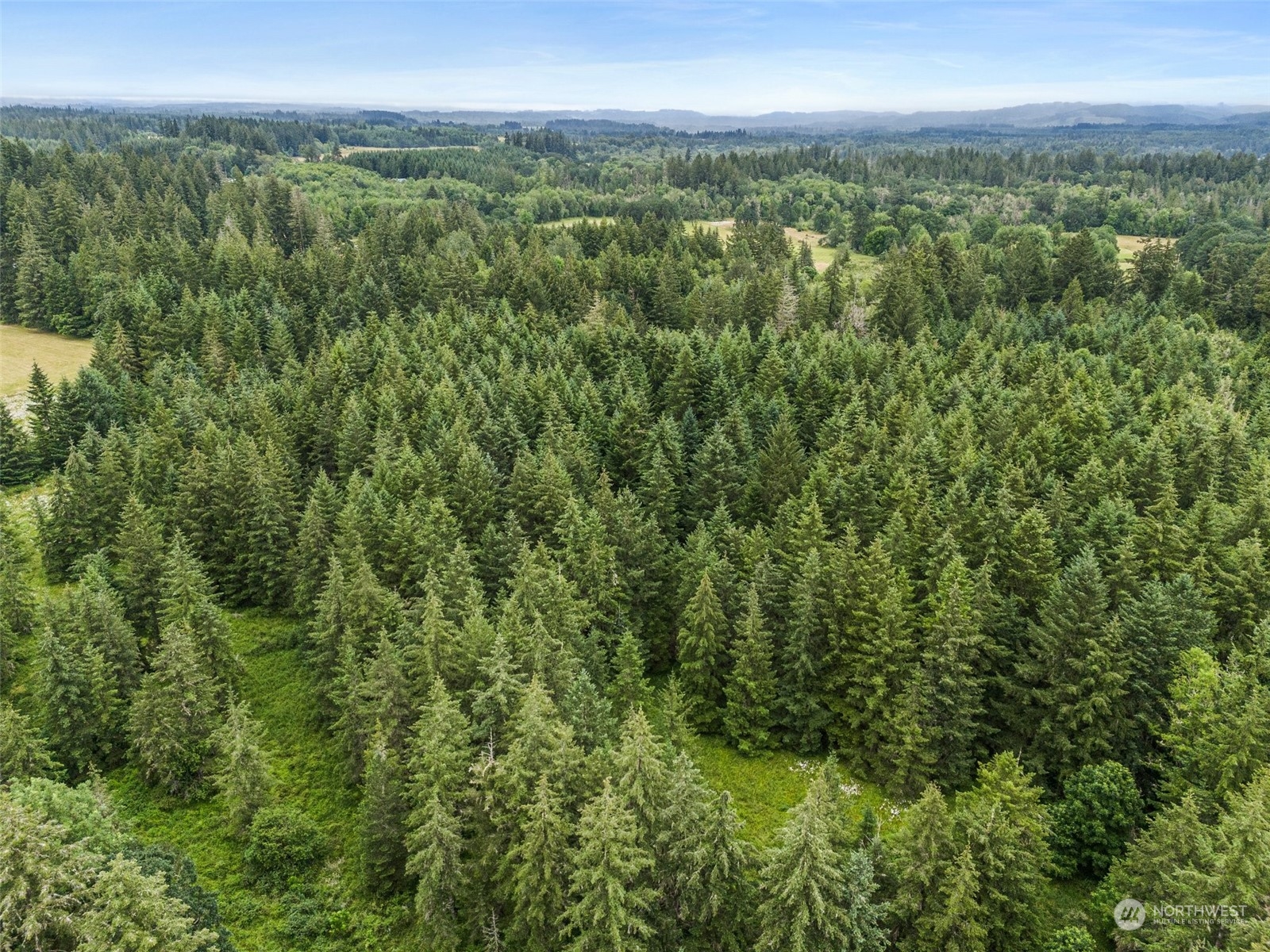 0 Howe Road Toledo, WA 98591 - Photo 16 of 16 a view of a city with lush green forest