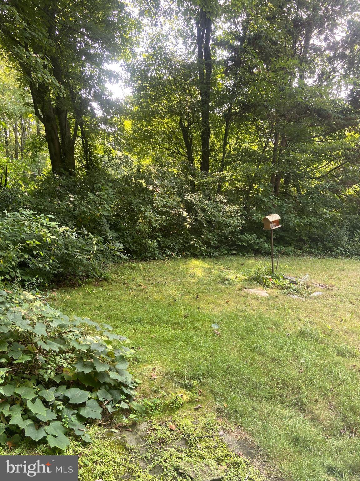 61 Old Georgetown Road Princeton, NJ 08540 - Photo 23 of 23