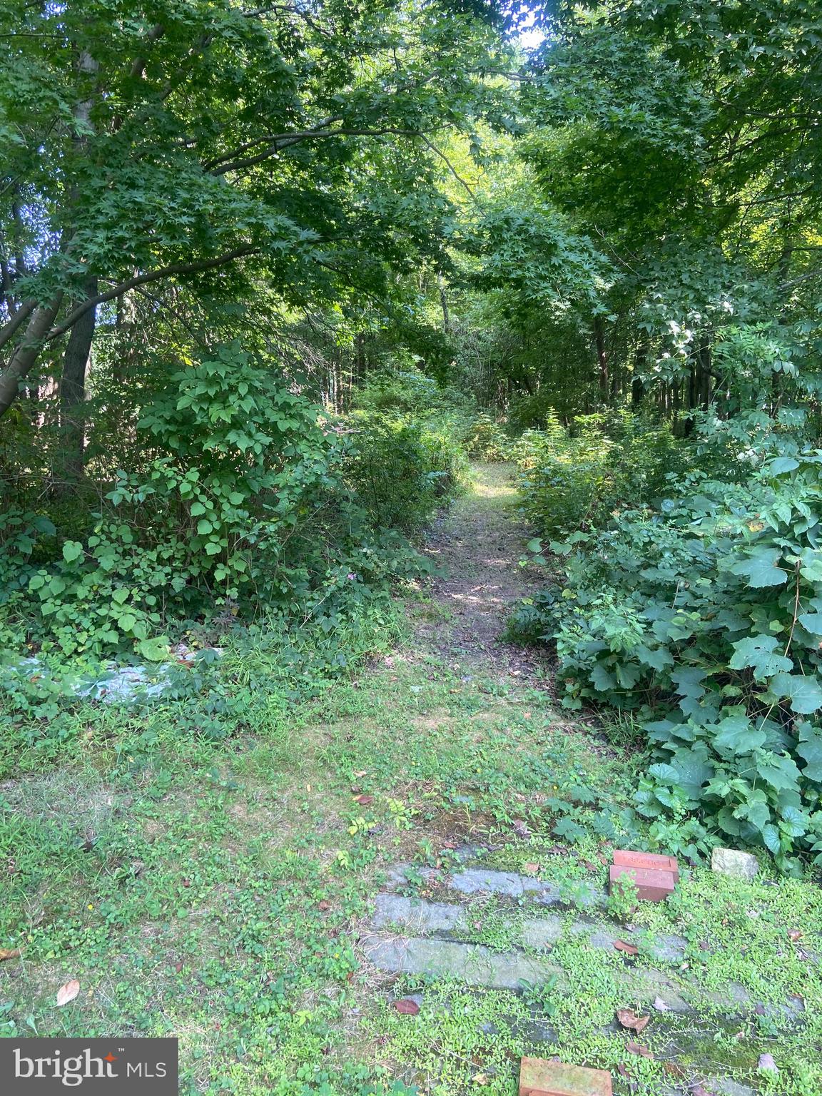 61 Old Georgetown Road Princeton, NJ 08540 - Photo 5 of 23