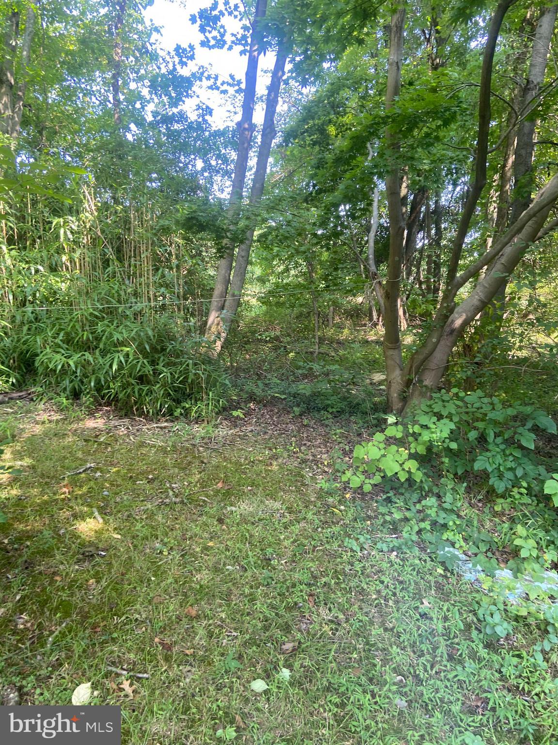 61 Old Georgetown Road Princeton, NJ 08540 - Photo 6 of 23