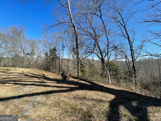 6070 Riggins Mill Road Dry Branch, GA 31020 - Photo 17 of 19 a view of a yard with wooden fence