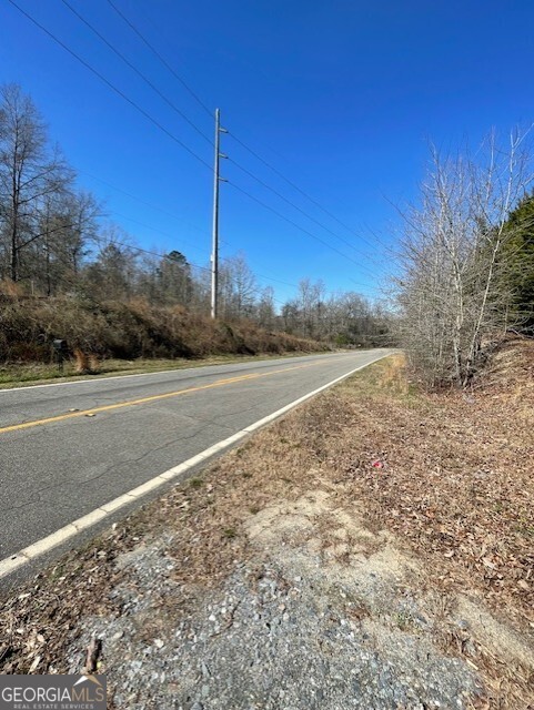 6070 Riggins Mill Road Dry Branch, GA 31020 - Photo 19 of 19 a view of a road with a yard