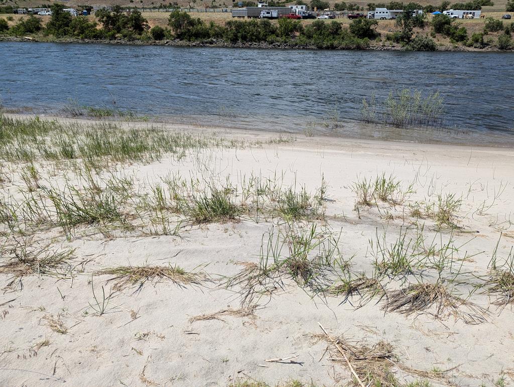 126 Rivers Bend Road, Unit 33 AND 34 White Bird, ID 83554 - Photo 15 of 16