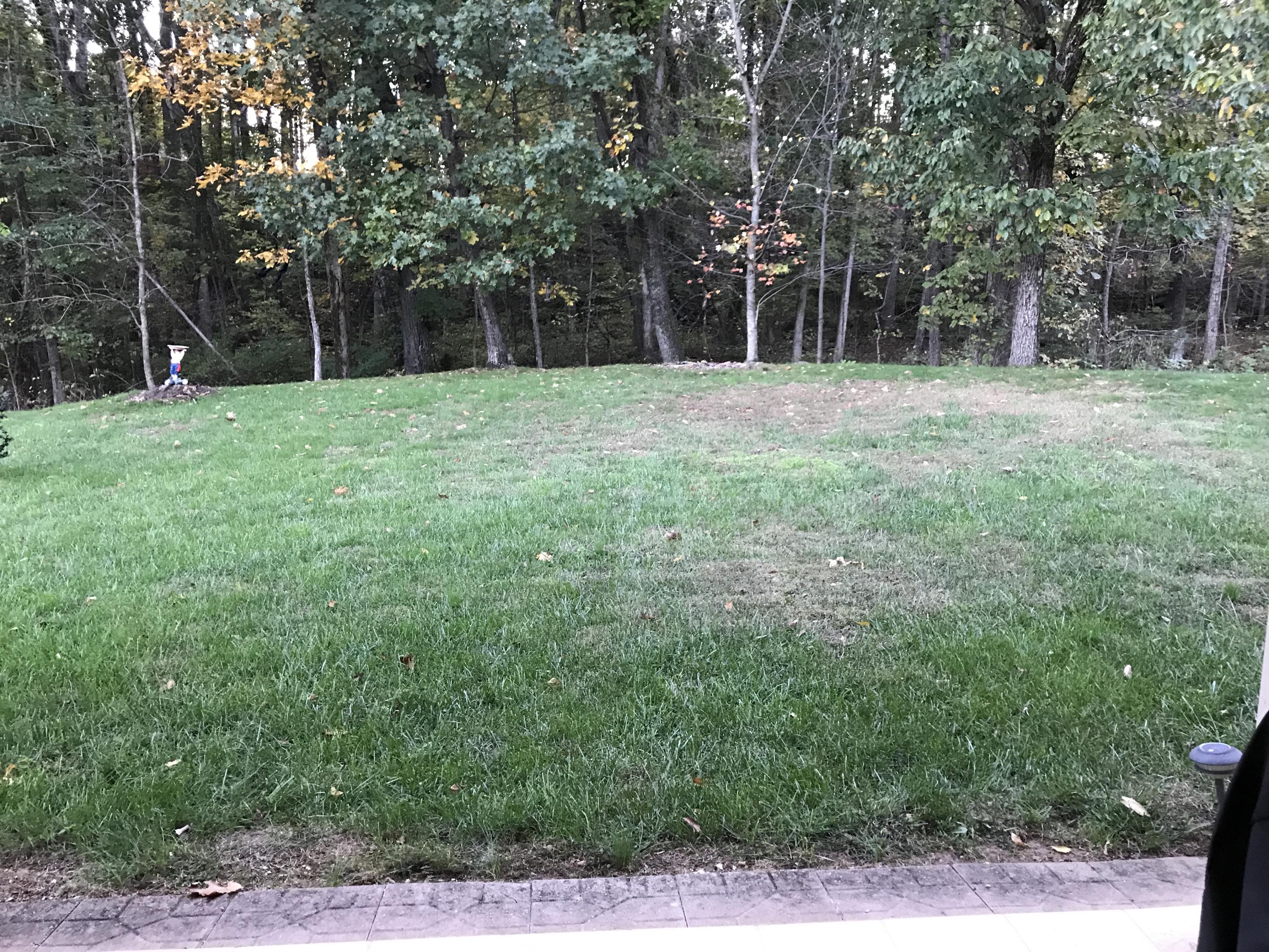 4242 Daugherty Road Salem, VA 24153 - Photo 34 of 40 a backyard of a house with lots of green space