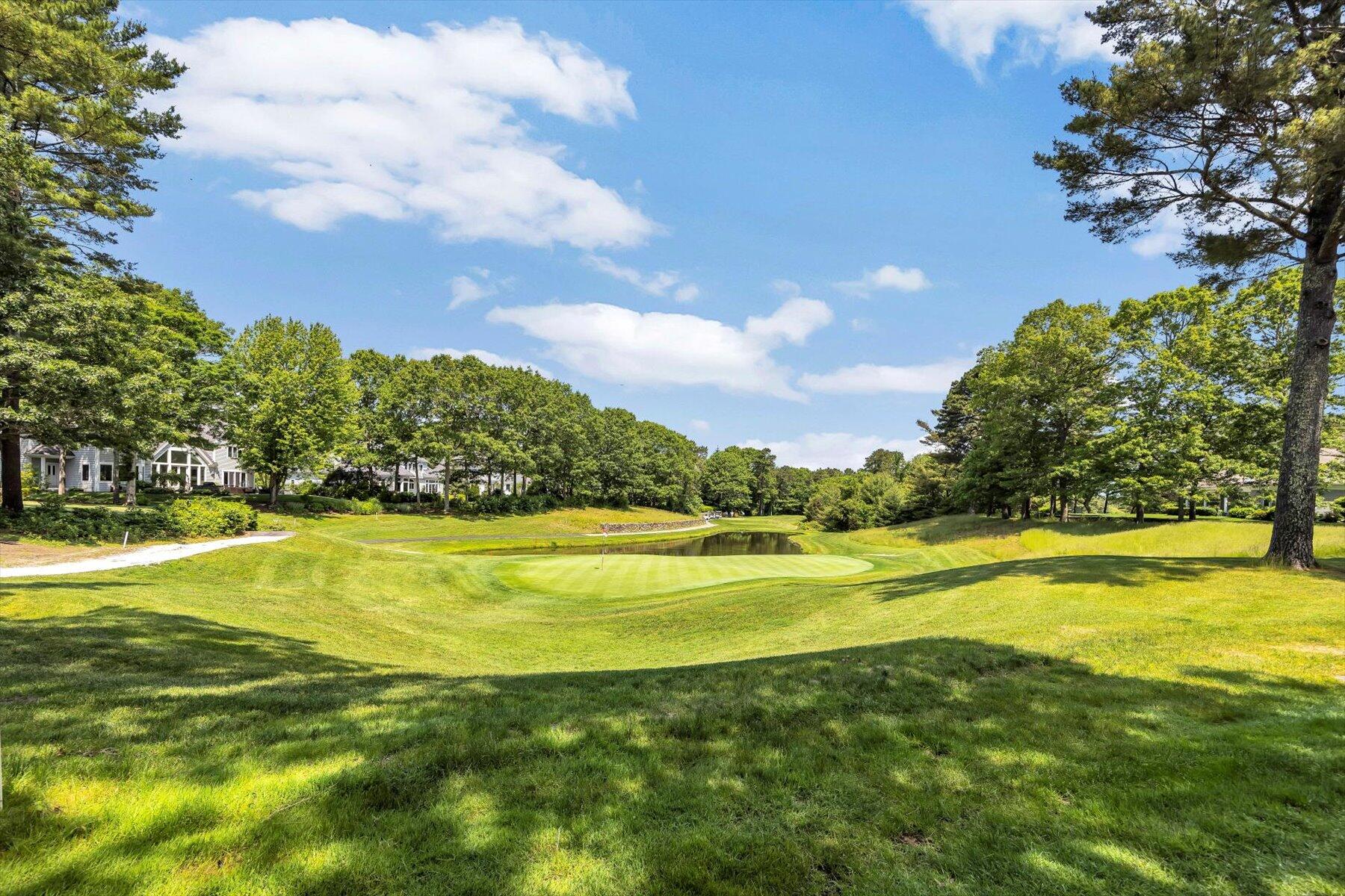 77 The Heights Mashpee, MA 02649 - Photo 37 of 52 011-889A5332