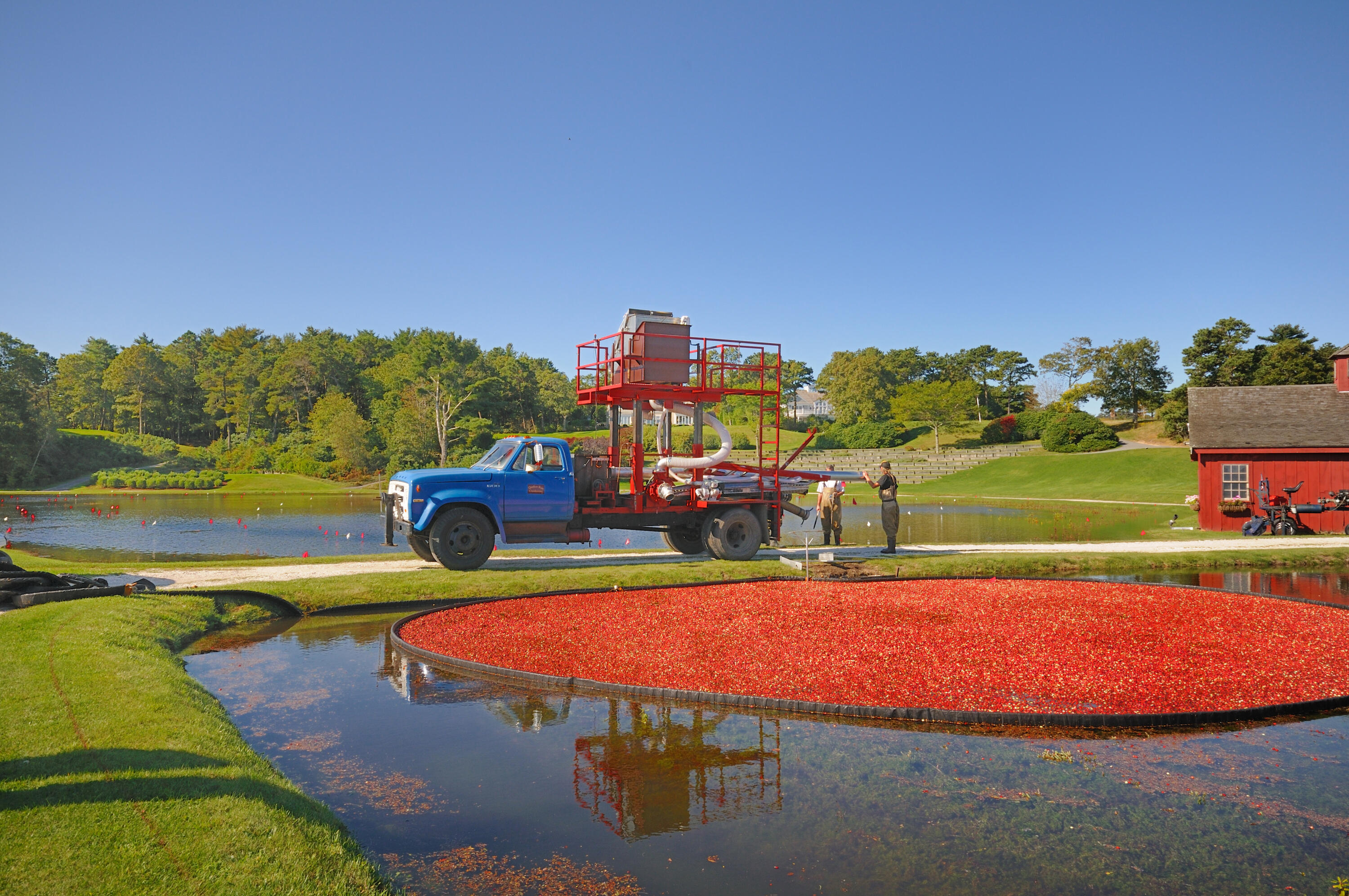 77 The Heights Mashpee, MA 02649 - Photo 44 of 52 DSC_0438