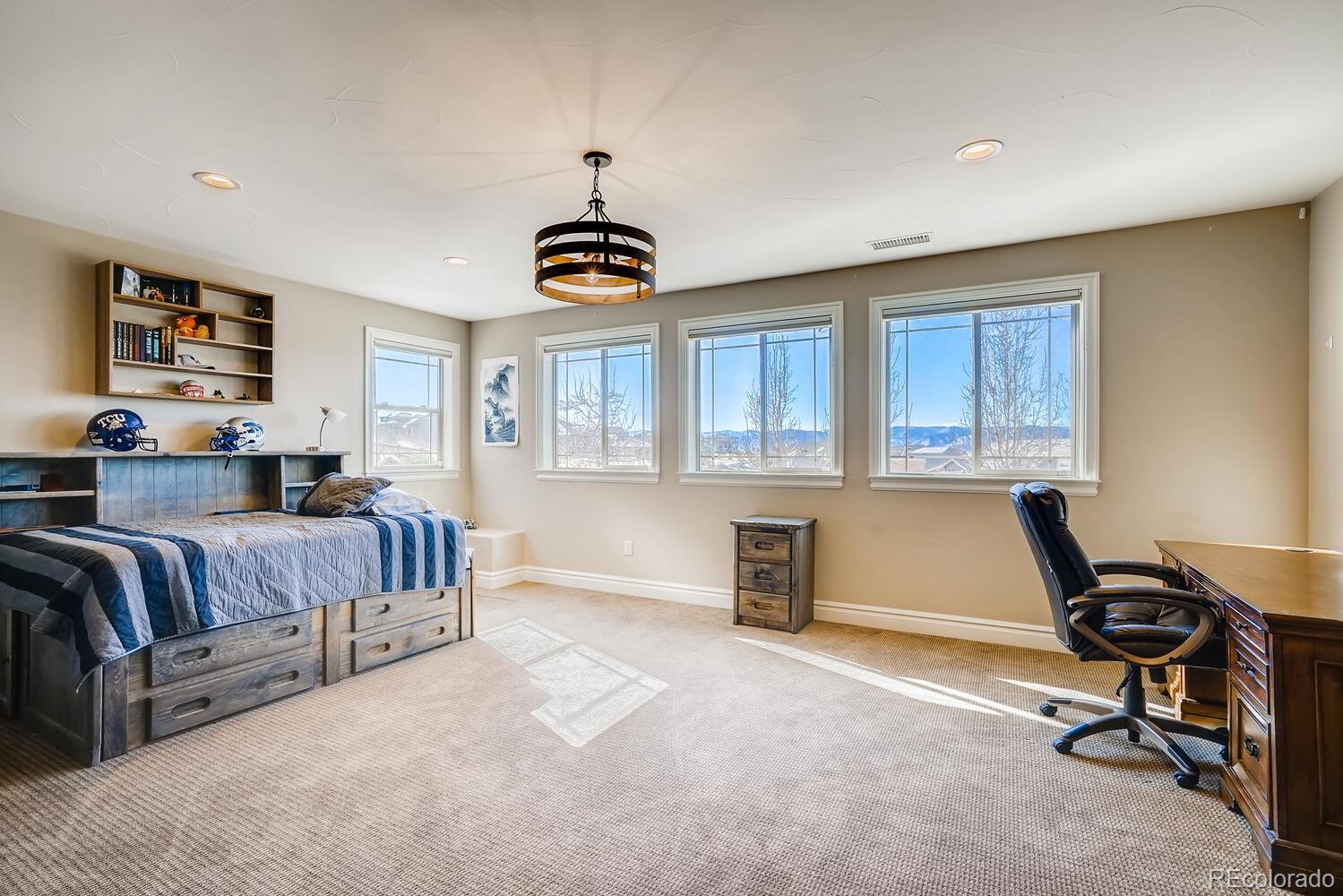 10729 Skydance Drive Highlands Ranch, CO 80126 - Photo 32 of 38