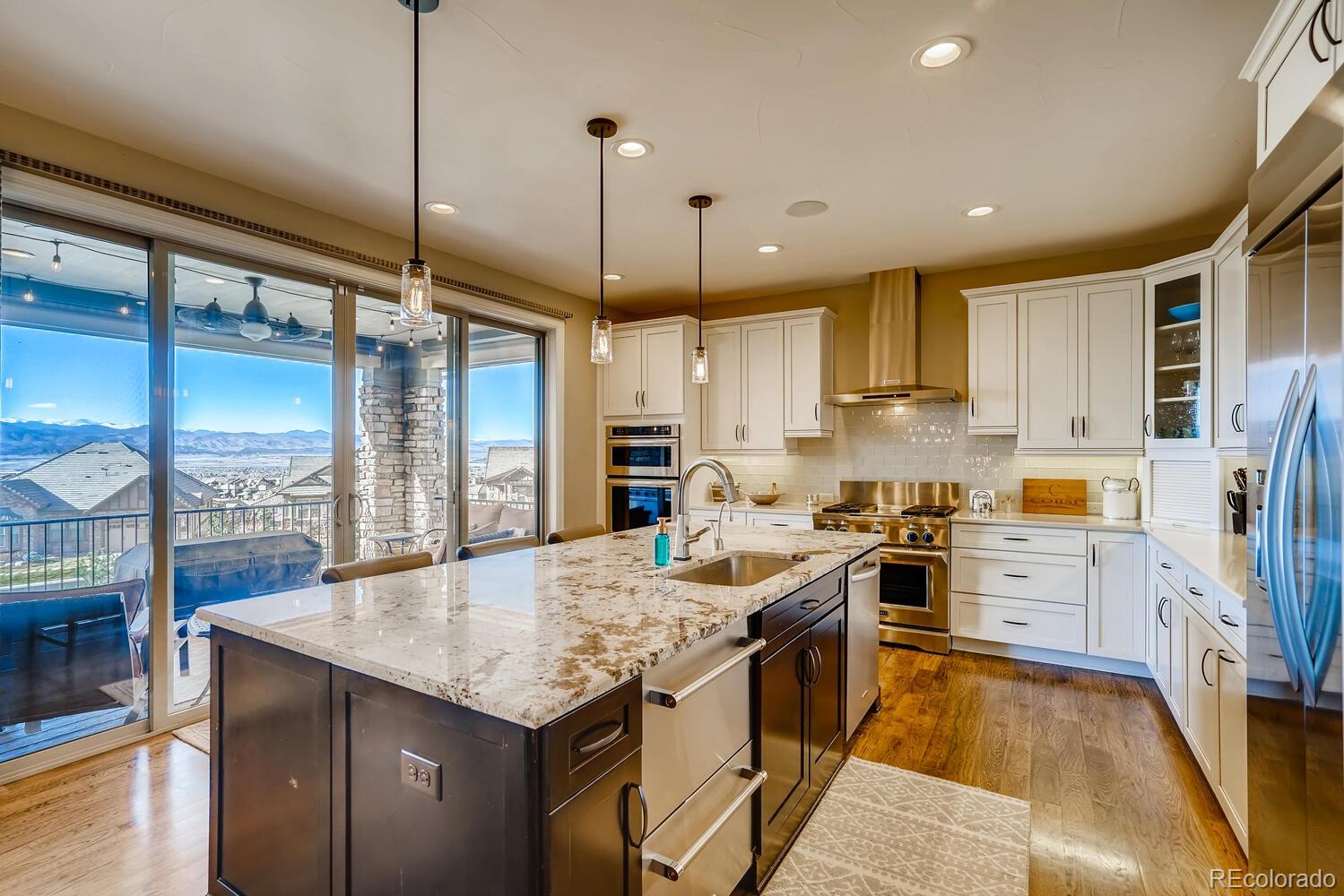 10729 Skydance Drive Highlands Ranch, CO 80126 - Photo 5 of 38