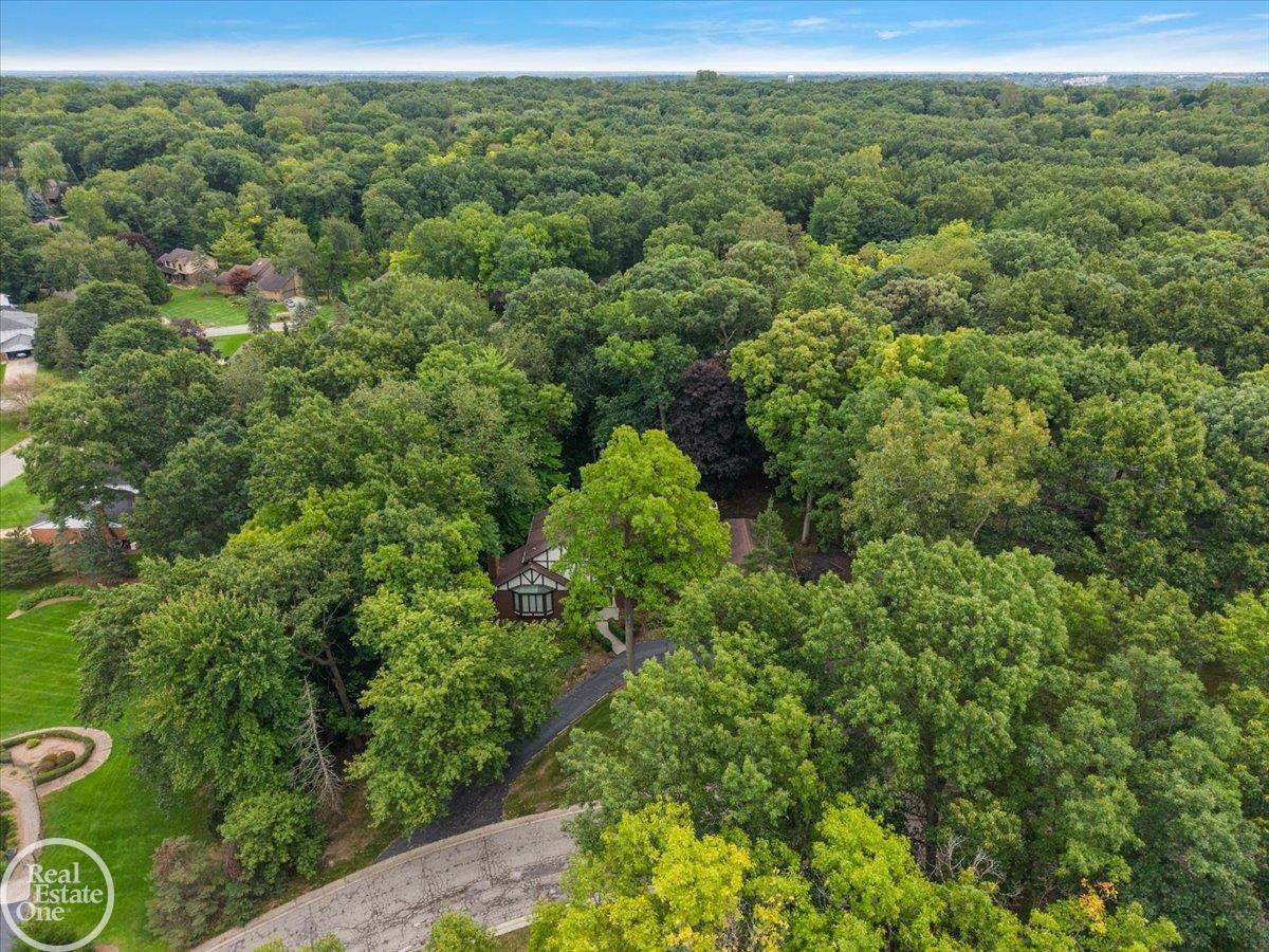 523 Ridgewood Road Rochester, MI 48306 - Photo 12 of 61 Gallery Image 12