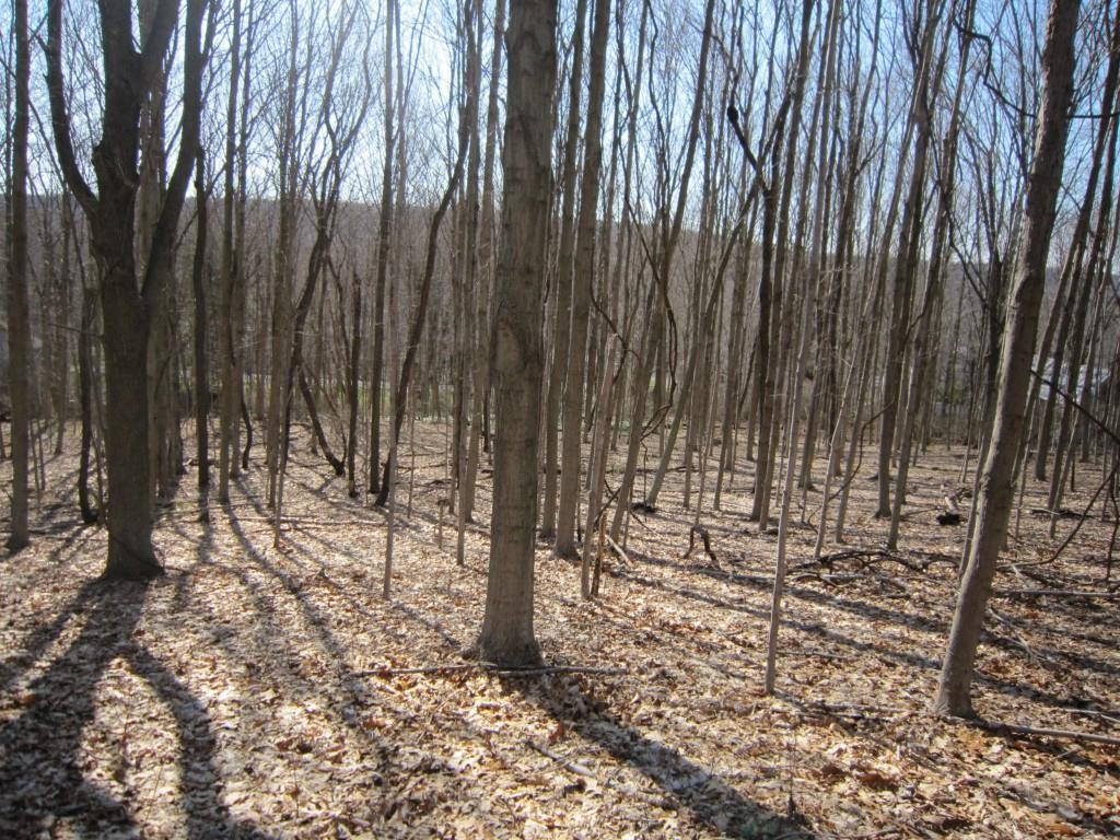31 Old Post Road North Branford, CT 06472 - Photo 1 of 1 Gallery Image 1