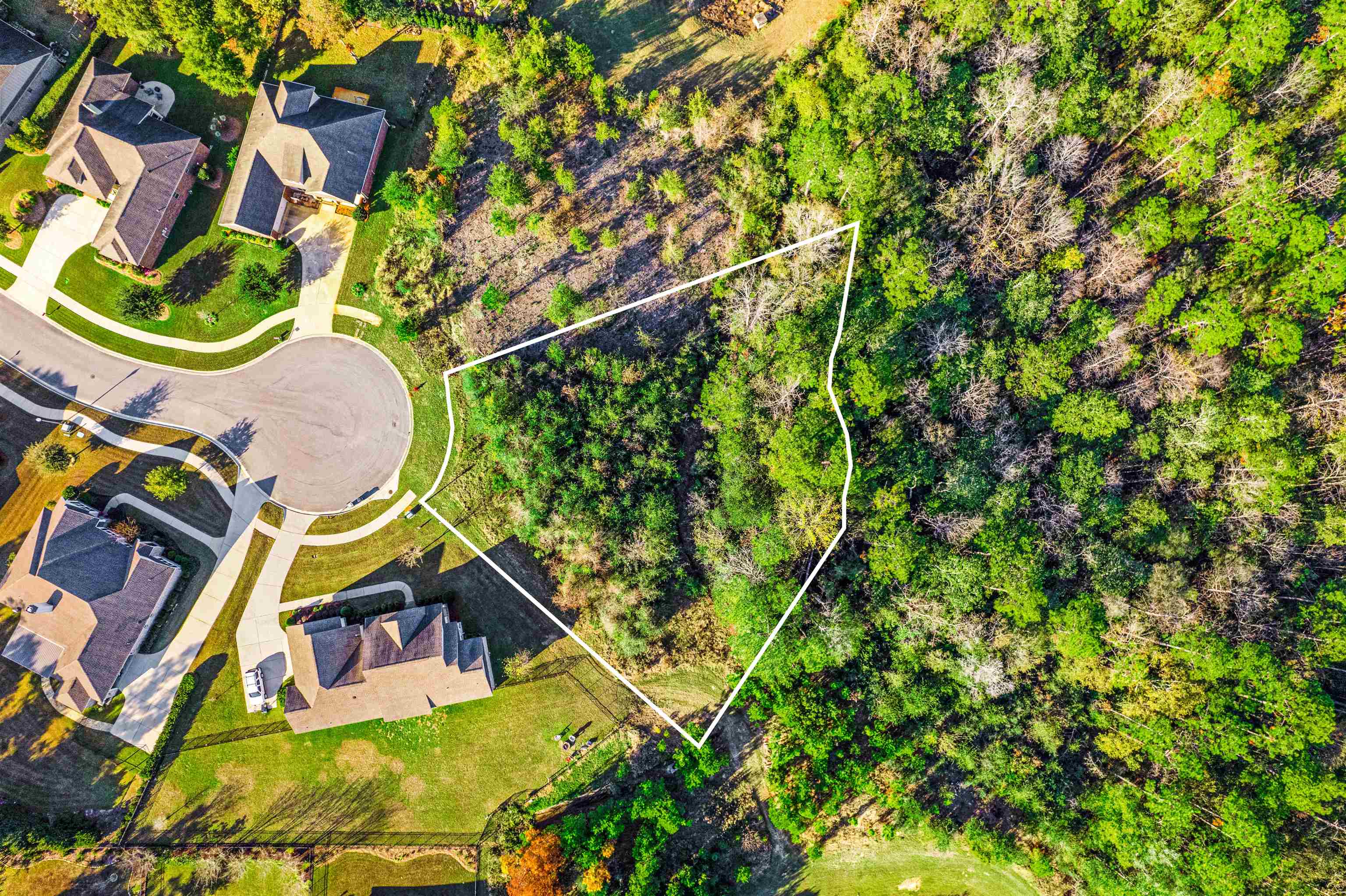 Lot 60 Pine Run Court Daphne, AL 36527 - Photo 4 of 17