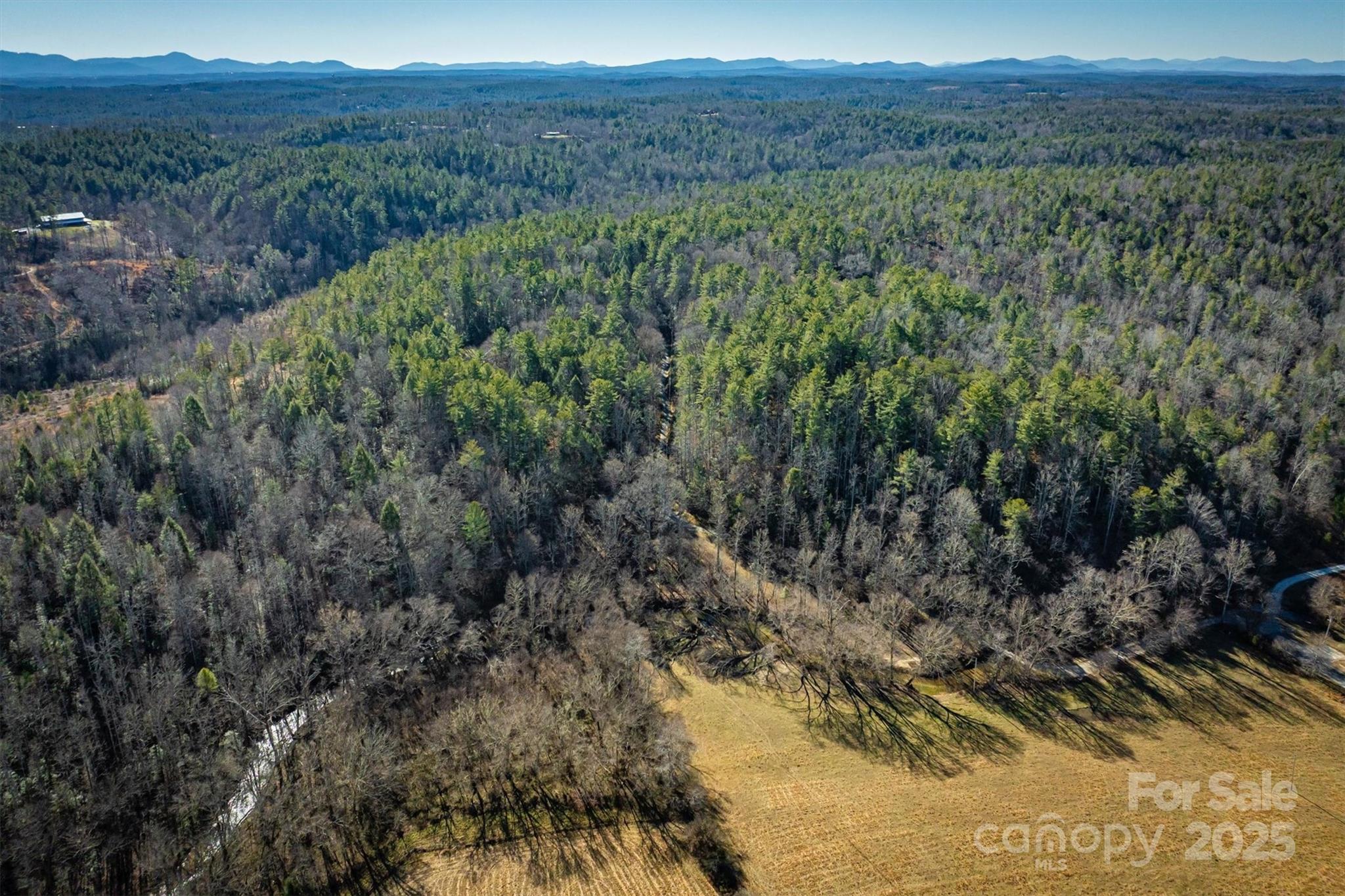 2602 Irish Creek Road Morganton, NC 28655 - Photo 44 of 46 Gallery Image 44