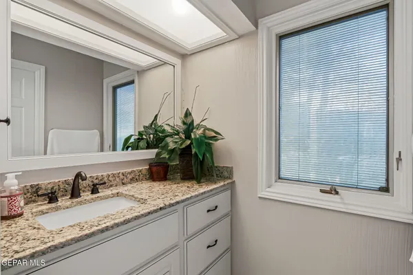 a view of a tall trees with a yard