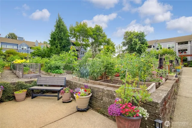 a outdoor space with lots of potted plants