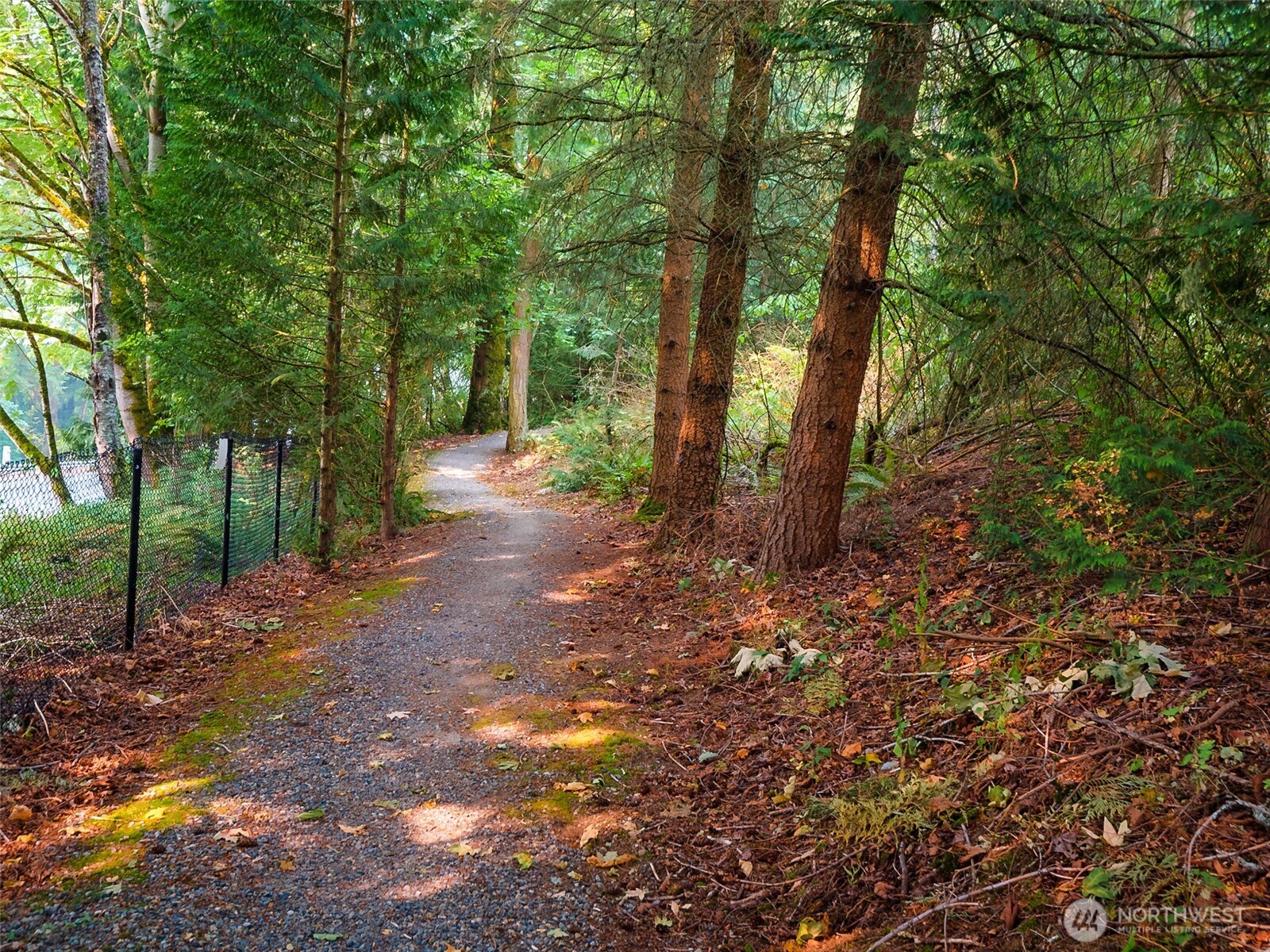 4106 221st Place Southeast, Unit 1072 Issaquah, WA 98029 - Photo 40 of 40 a view of a forest with trees