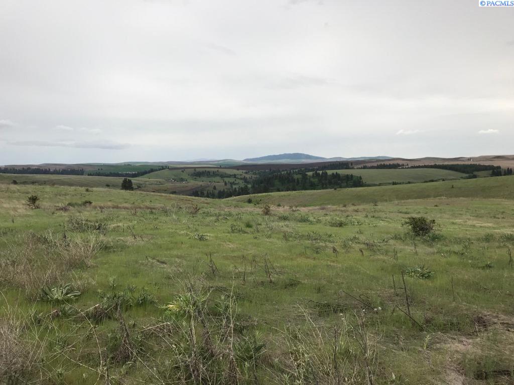Lot 10 Red Tail Ridge Colfax, WA 99111 - Photo 1 of 1 Gallery Image 1